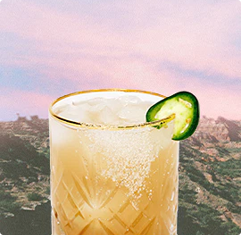 Smoky Cactus THC Mocktail Recipe  Willie's Remedy+