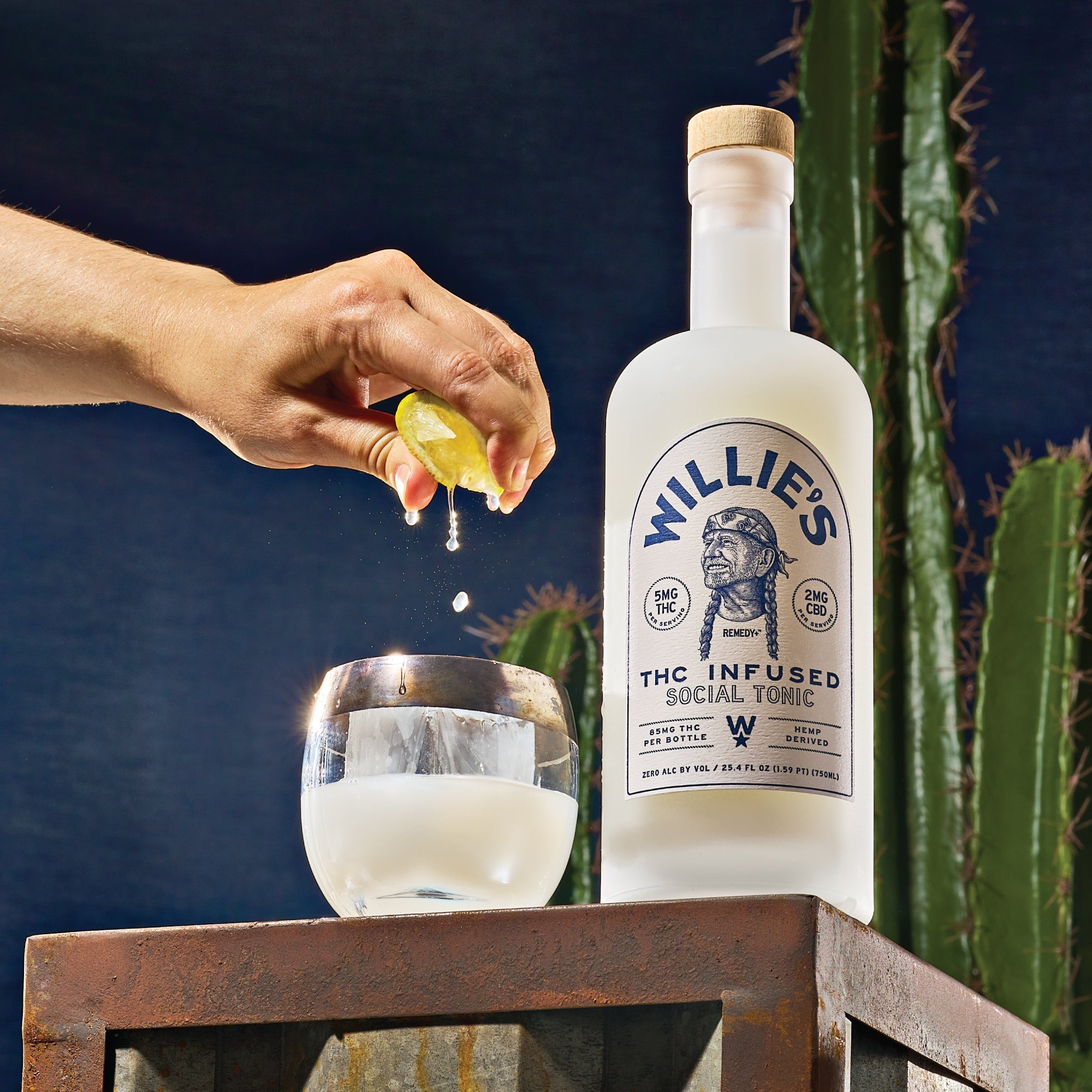Alcohol Alternative Drinks